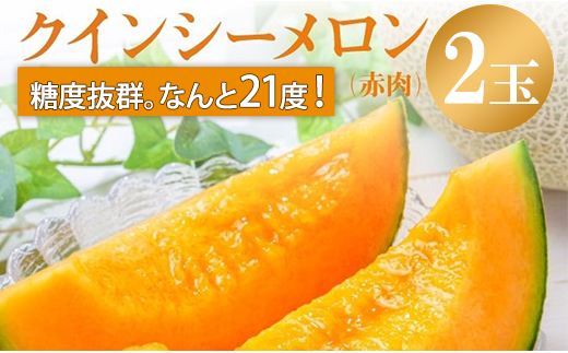 来年2026年先行予約!【発送5月上旬〜】 メロン めろん 糖度21度以上!奇跡の クインシーメロン 2玉 赤肉 人気 おすすめ クインシー 甘い 濃厚 高糖度 自家栽培 メロン 贈答用 贈り物 プレゼ