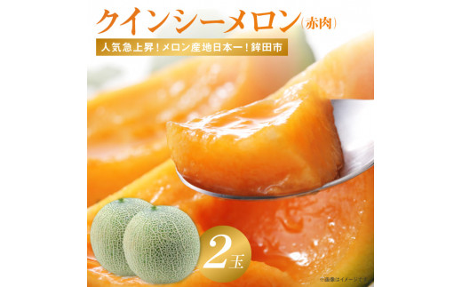 赤肉が美味しい!クインシーメロン(2個入)茨城県鉾田市19500果物・フルーツメロン・スイカ