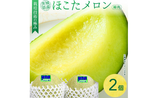 完熟収穫ならではの旨味「ほこたメロン/緑肉」1箱(2個入)茨城県鉾田市16500果物・フルーツメロン・スイカ
