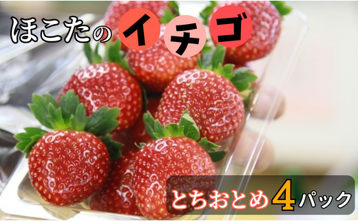 【2月発送】JAほこた なだろう いちご(とちおとめ4パック)茨城県鉾田市15500果物・フルーツいちご