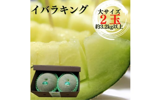 CoLOij2ʁi3.2kgȏj錧gcs22500ʕEt[cEXCJ