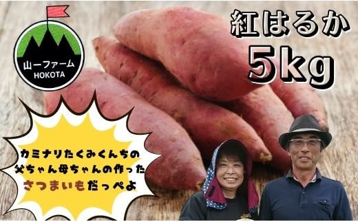 紅はるか(5kg入り)1箱茨城県鉾田市13000野菜・きのこじゃがいも・イモ類