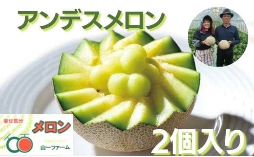 メロン めろん  アンデスメロン 2個(大玉3kg以上) 山一ファーム おすすめ 人気 国産 山一ファーム 茨城 鉾田 フルーツ 旬 プレゼント 贈り物 甘い ヘルシースイーツ 産地直送 農業王国 青肉
