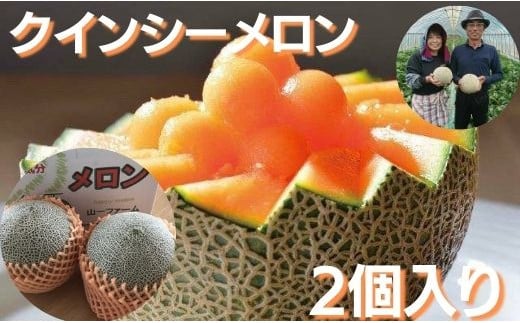 メロン めろん クインシーメロン 2個(大玉3kg以上) 山一ファーム おすすめ 人気 国産 赤 茨城 鉾田 フルーツ 旬 プレゼント 贈り物 甘い ヘルシースイーツ 産地直送 農業王国 赤肉 4月下旬