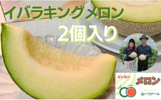 メロン めろん  イバラキングメロン 2個(大玉3kg以上) 山一ファーム おすすめ 人気 国産 山一ファーム 茨城 鉾田 フルーツ 旬 プレゼント 贈り物 甘い ヘルシースイーツ 産地直送 農業王国