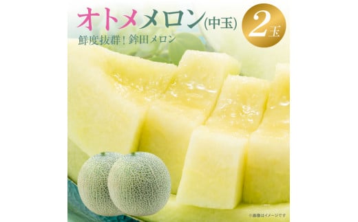   ʁyIgzΓ@2ʓ(3`5kg)  Mtg gc ʕ lC    Ԃ s\ XC[c   錧 Ҍ  t[c ߂ gcs fU[g 