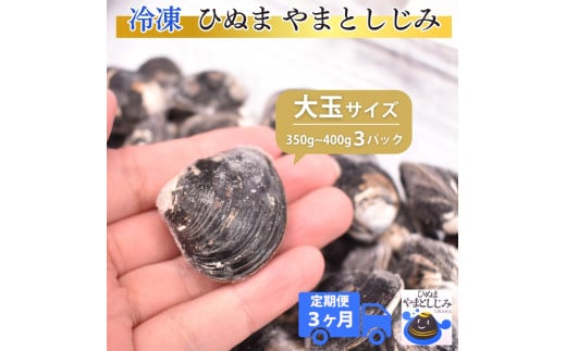 【3ヶ月定期便】冷凍やまとしじみ(大玉)3パック(1パック350g〜400g)×3回茨城県鉾田市43500魚介・海産物貝類