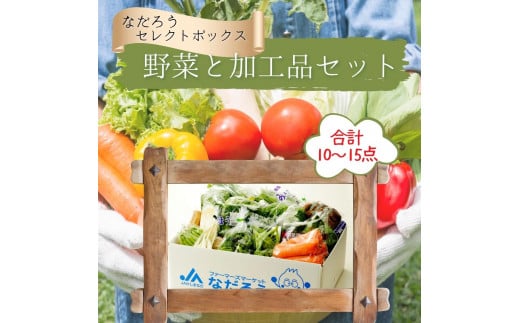 野菜と加工品「なだろう」セレクトボックス茨城県鉾田市15500野菜・きのこその他 野菜