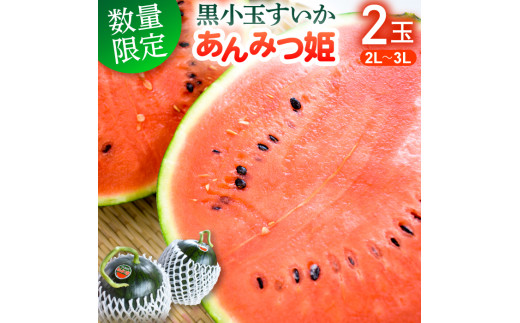 ŊÂIʃXCJu݂Pv@2ʁ^5kg`6kg^2L`3LTCY錧gcs14500ʕEt[cEXCJ