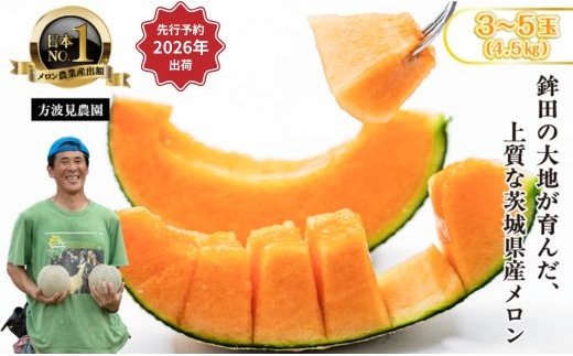 【来年2026年】先行予約!茨城県鉾田市産 むつみレッドメロン メロン めろん  3〜5玉(総重量:4.5kg以上)|方波見農園 《安心安全栽培》上品な甘さ 絶品 産地直送 赤肉 高級 おすすめ 人気