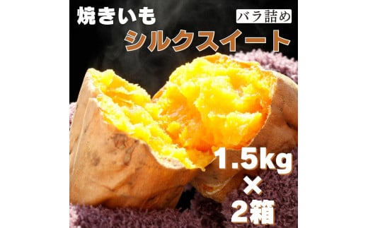 茨城県産 焼き芋シルクスイート 1.5kg×2箱(計3kg) さつまいも 焼きいも茨城県鉾田市14000野菜・きのこじゃがいも・イモ類