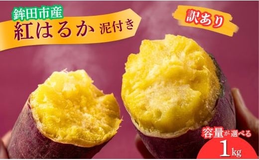 ܂ g͂邩 󂠂i iAisj 1kg Dt錧gcs5000؁ÊႪEC