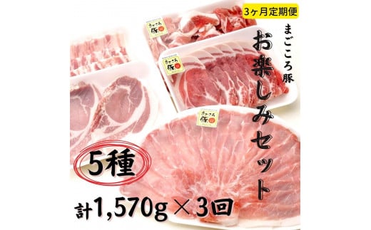 【3ヶ月定期便】まごころ豚 約1.5kgセット(ロース・こま切れ等)×3回 焼き肉 しゃぶしゃぶ バラ 肩ロース茨城県鉾田市43000肉豚肉