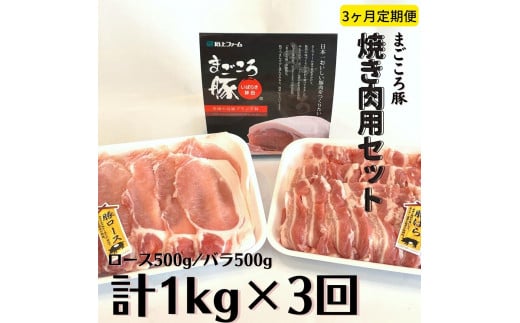 【3ヶ月定期便】まごころ豚 焼き肉用1kg(ロース&バラ)×3回茨城県鉾田市40500肉豚肉