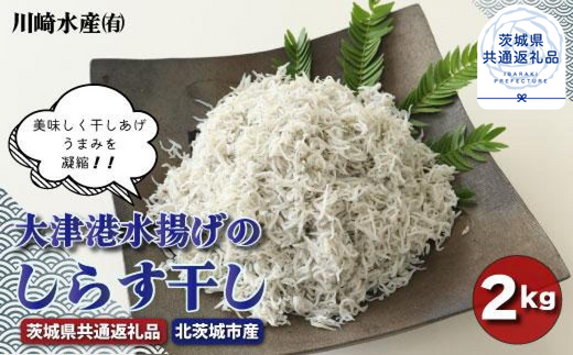 大津港水揚げのしらす干し 2kg(茨城県共通返礼品/北茨城市産)茨城県鉾田市21000魚介・海産物その他 魚介・海産物
