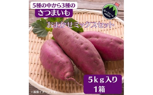 さつまいも/3種おまかせミックスセット 5kg茨城県鉾田市14000野菜・きのこじゃがいも・イモ類