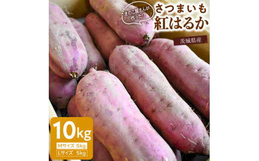 さつまいも/紅はるか(Mサイズ5kg+Lサイズ5kg)計10kg茨城県鉾田市13000野菜・きのこじゃがいも・イモ類