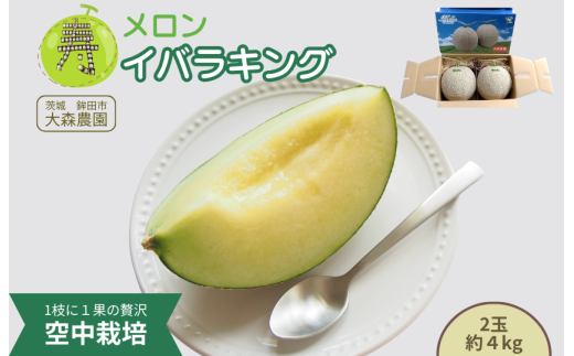 寿メロン 「空中栽培」で栽培した贅沢な イバラキングメロン  アンテナ付き 2玉 計約4kg メロン 大森農園 先行予約 フルーツ先行予約 メロン先行予約茨城県鉾田市18000果物・フルーツメロン