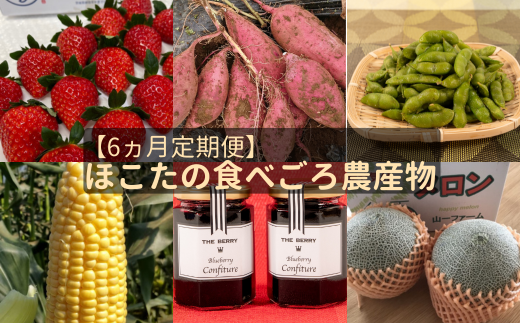 【6ヵ月定期便】ほこたの食べごろ農産物(さつまいも/いちご/とうもろこし/メロン/枝豆/ブルーベリージャム)茨城県鉾田市92000果物・フルーツメロン・スイカ