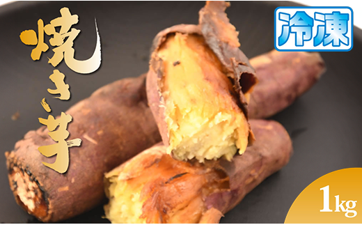  gcs n܂ ׂɂ͂邩 ⓀĂ 1s m [_ n錧gcs9500َqEXC[c̑ aَq