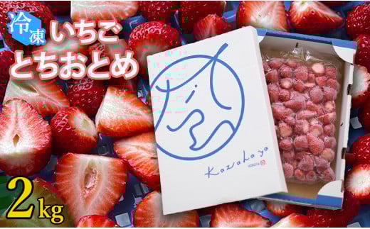 冷凍いちご とちおとめ 選べる 2kg 国産 完熟 おやつ ジャム スムージー ヨーグルト シェイク茨城県鉾田市12000果物・フルーツいちご