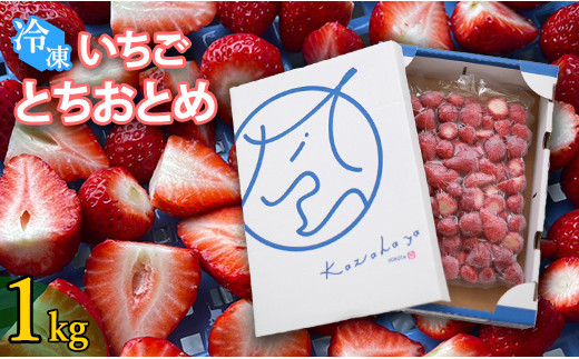Ⓚ ƂƂ Iׂ 1kg Y n  W X[W[ [Og VFCN錧gcs8000ʕEt[c