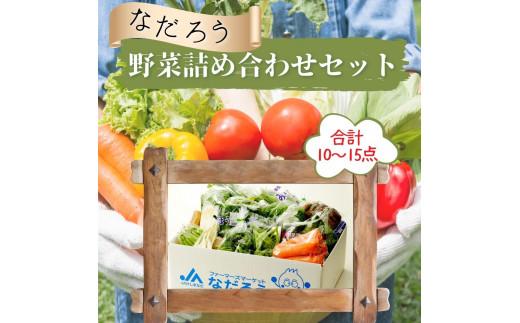 【12月発送】JAほこた なだろう 鉾田市産野菜の詰合わせセット茨城県鉾田市15500野菜・きのこその他 野菜
