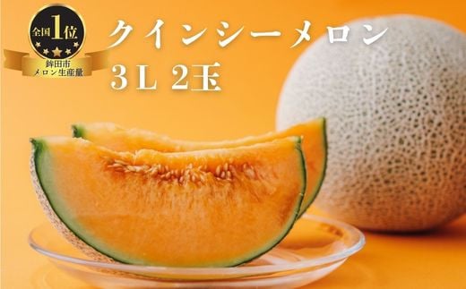 クインシーメロン(3L×2玉)茨城県鉾田市22500果物・フルーツメロン・スイカ