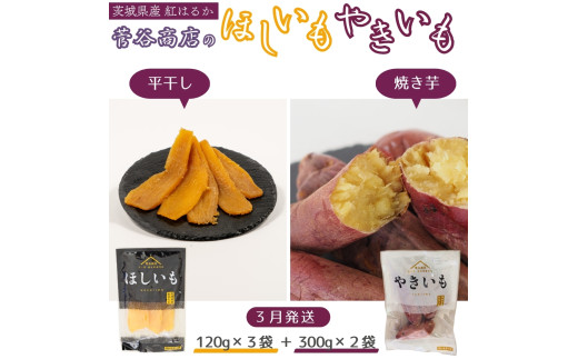 《2026年3月発送》茨城「菅谷商店」の 紅はるか 干し芋 & 焼き芋 セット ( ほしいも 120g×3袋 / やきいも 300g × 2袋 ) 干しいも 平干し 天日干し 焼きいも茨城県鉾田市10000果物・フルーツド