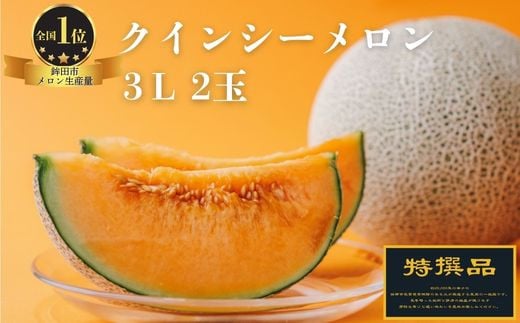 【特選品】クインシーメロン(3L×2玉)茨城県鉾田市28500果物・フルーツメロン・スイカ