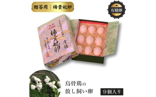 I L G{̂܂ 9Zbg m kMܗ nG{̗ G{̋ʎq G{     p Mtg錧gcs15500Eii{AG{j