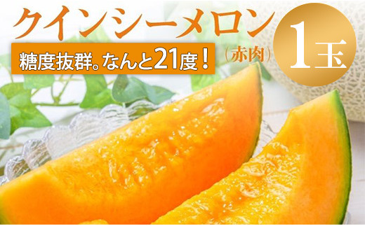 来年2026年先行予約!【発送5月上旬〜】糖度21度以上!奇跡の甘さ クインシー メロン 1玉 めろん 赤肉 人気 おすすめ クインシー 甘い フルーツ 濃厚 くだもの 高糖度 自家栽培 めろん 贈答用
