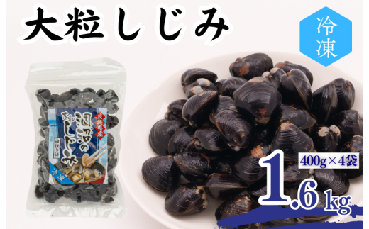 涸沼産 大粒しじみ (1.6kg)茨城県鉾田市14000魚介・海産物貝類