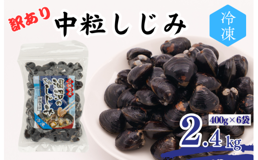 訳あり 涸沼産 中粒しじみ (2.4kg)茨城県鉾田市14000魚介・海産物貝類
