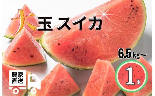 大玉スイカ(天竜) 1玉(6.5kg以上)茨城県鉾田市15000果物・フルーツメロン・スイカ