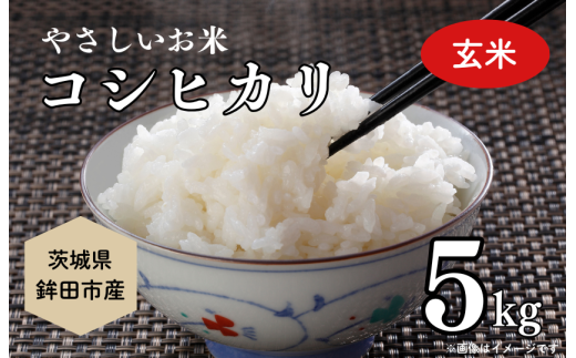 やさしいお米 こしひかり5kg(玄米)茨城県鉾田市22000米・パン玄米・雑穀米・もち米・餅