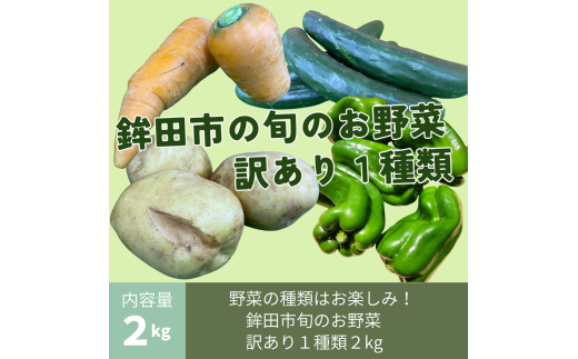 鉾田市旬のお野菜 訳あり(2kg)茨城県鉾田市8000野菜・きのこその他 野菜
