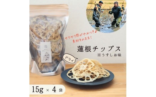無添加・うす塩味 人間用乾燥蓮根チップス15g 4袋セット茨城県鉾田市11500鍋セット・総菜・加工食品その他 鍋セット・総菜・加工食品