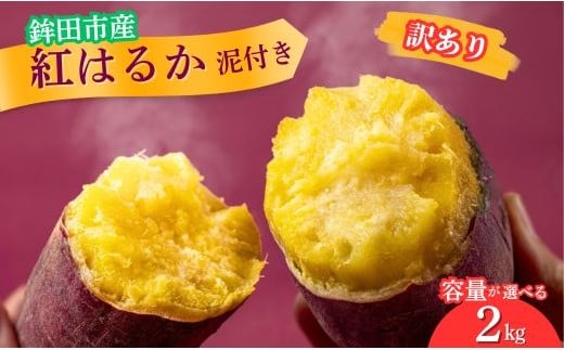 さつまいも 紅はるか 訳あり品 (A品不揃い) 2kg 泥付き茨城県鉾田市6500野菜・きのこじゃがいも・イモ類