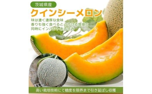 2026年5月上旬〜発送【不揃い訳ありクインシーメロン 1玉】\上品な甘さとジューシーな食感!/茨城県鉾田市産 クインシーメロン めろん 1玉|先行予約 赤肉 産地直送 追熟 国産 フルーツ