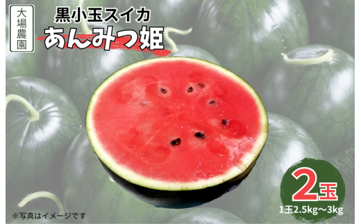 黒小玉スイカ(あんみつ姫) 2玉(2.5kg〜3kg×2玉)茨城県鉾田市15000果物・フルーツメロン・スイカ
