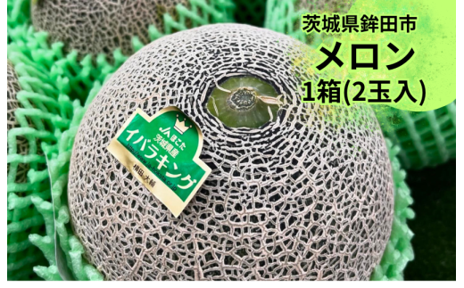 上品で爽やかな甘さ!イバラキングメロン(2個入)茨城県鉾田市19500果物・フルーツメロン・スイカ