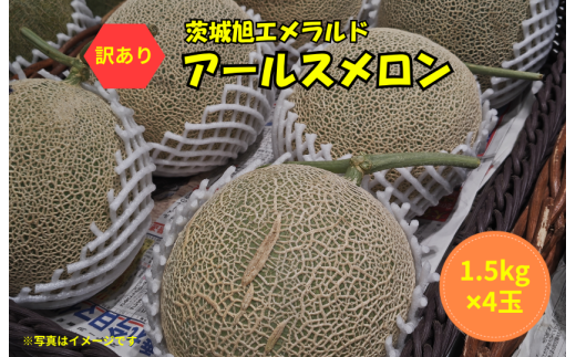 【訳あり】アールスメロン 4玉(1.5kg×4)茨城旭エメラルド茨城県鉾田市26000果物・フルーツメロン・スイカ