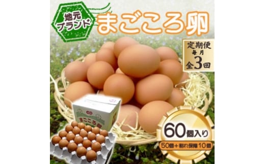ցunuhv܂뗑60(50Ɗۏ10)@{(Hp)S3y4070042zRs33000Eii{AG{j