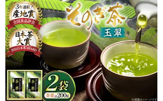  Β ̂ ʐ 100g×2 [C(̐C) 茧 ދn hs42bag710013] { t Y 茧Y ދn {ܒ茧ދn15000E