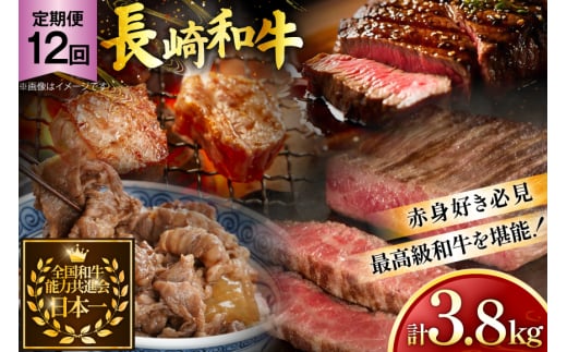  a Ԑg ē XCX vXe[L qXe[L ؂藎Ƃ 2lO 12 v3.8kg [ 茧 ދn hs42bag750018] Ԑg Ă   q v Xe