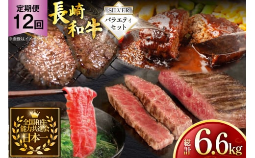  a  a oGeBZbguVo[v 12 v6.6kg [ 茧 ދn hs42bag750082]  o   ؂藎Ƃ o   ؂藎Ƃ茧ދn3510