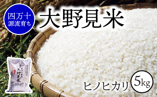 【 四万十源流育ち 】特別栽培 大野見米 ヒノヒカリ 5kg ( 白米 ) ご飯 米 お米 ヒノヒカリ 四万十高知県中土佐町22000米・パン白米