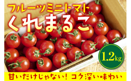 qs\tr t[c~jg}g w ܂邱 x 1.2kg 2025N12蔭\荂my8000؁Êg}g