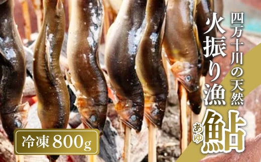四万十川上流の天然鮎 新もの冷凍 火振り漁鮎 800g ( 冷凍 4〜12尾 ) 鮎 あゆ アユ 川魚 高知県 四万十 天然 冷凍高知県中土佐町27000魚介・海産物鮮魚